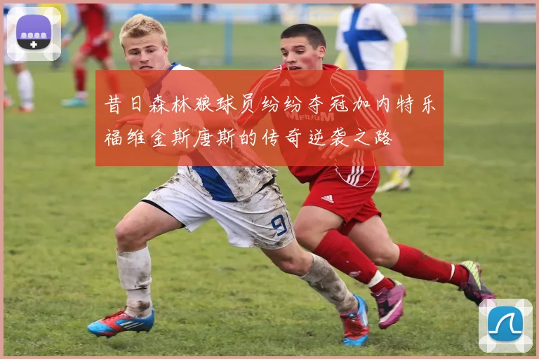 昔日森林狼球员纷纷夺冠加内特乐福维金斯唐斯的传奇逆袭之路